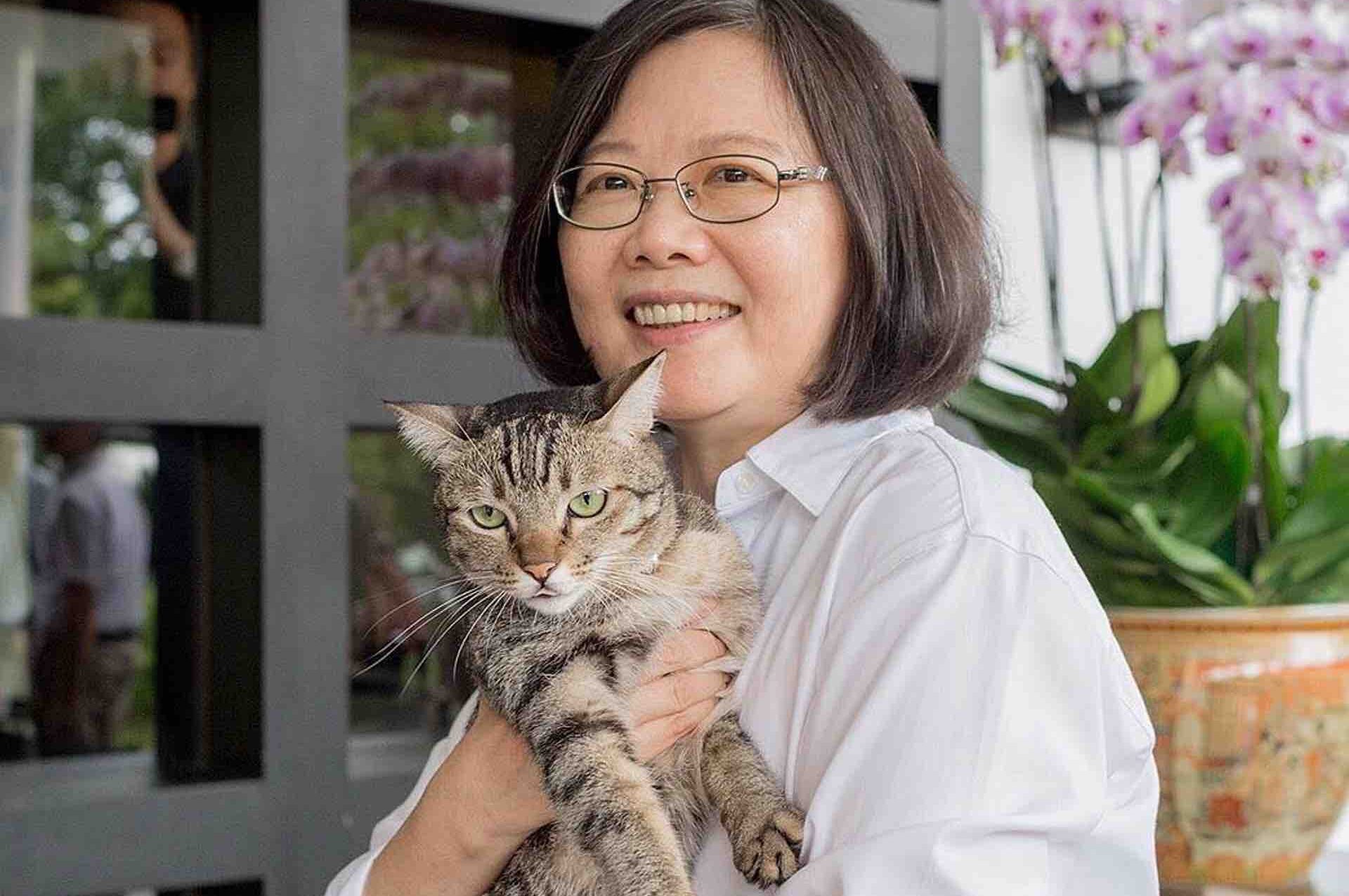 蔡英文與她的貓（圖翻攝自蔡英文Instagram）