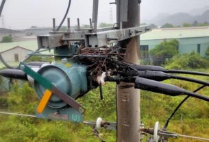 內湖、高雄發生停電，其中有兩件是因為鳥巢碰觸高壓線路導致，另兩件為電纜故障及打雷，共影響約萬戶，令停電居民抱怨連連