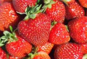 日本草莓農藥殘留超標11倍，還轉送偏鄉孩童